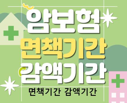 보험비교사이트, 위즈인슈의 고객 맞춤형 서비스